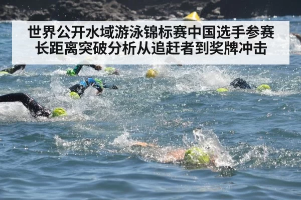 世界公开水域游泳锦标赛中国选手参赛长距离突破分析从追赶者到奖牌冲击